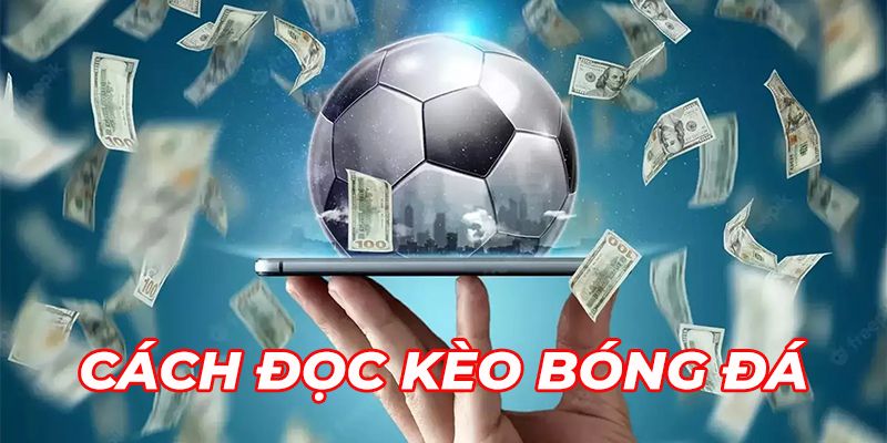 Cách Đọc Kèo Bóng Đá Chuẩn Xác, Dễ Dàng Chiến Thắng