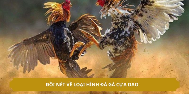 Đôi nét về loại hình đá gà cựa dao